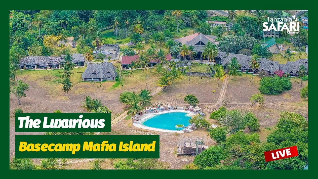 🔴TSCLIVE: A DAY AT THE BASECAMP MAFIA ISLAND