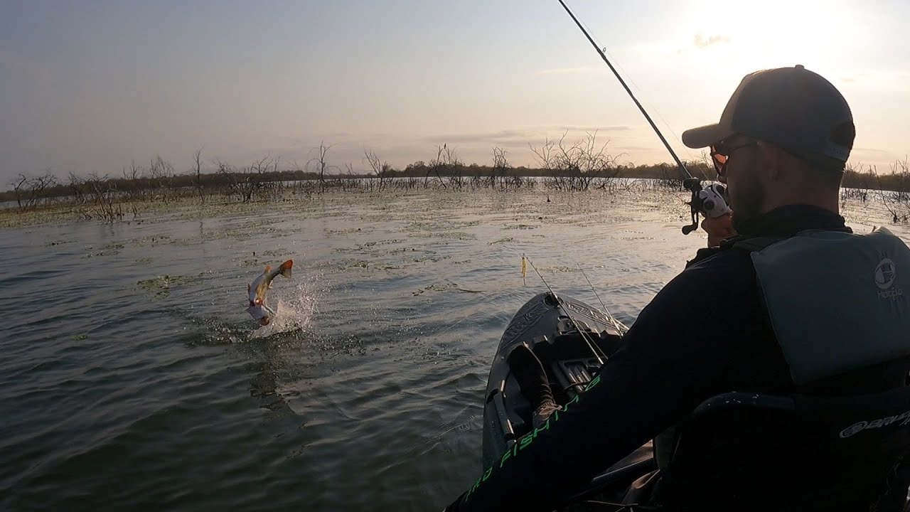 Ainda era cedo, mas o primeiro peixe já mostrou que o dia seria especial.