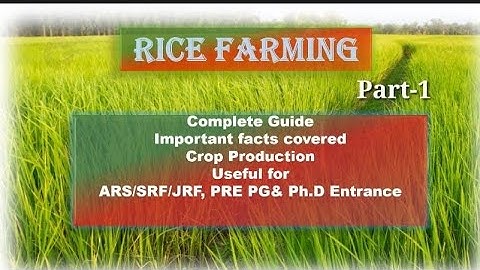 Rice farming crop production//useful for jrf srf ARS examinations@AGRICulturemakestrong