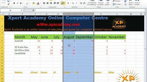 Ms Excel Urdu Tutorials | Insert Row and Column