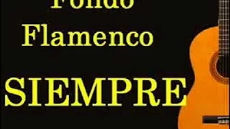 Fondo Flamenco - Ojala Fondo Flamenco - Ojala