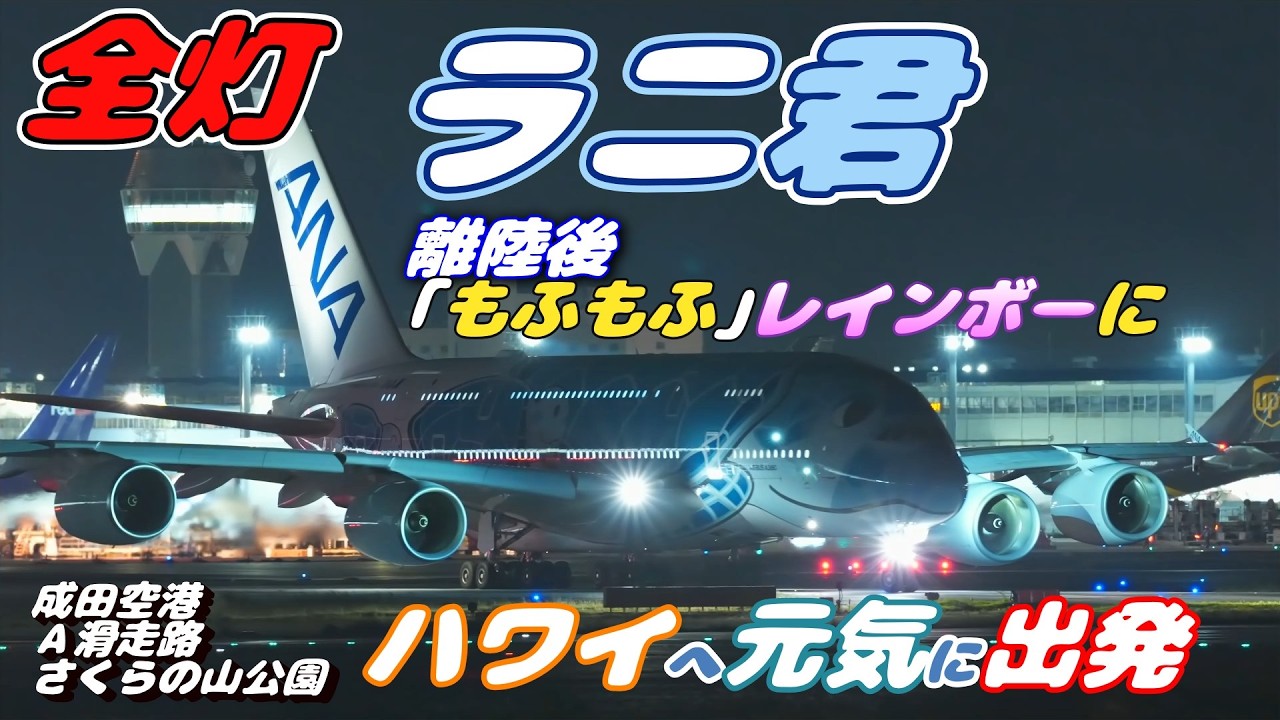 4K】成田空港 さくらの山公園 全日空 超巨大旅客機エアバスA380 ラニ君