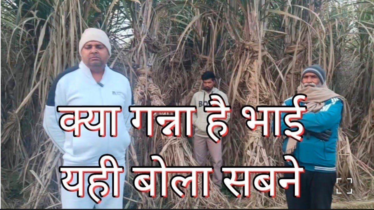 0118 का बहुत सुंदर खेत 