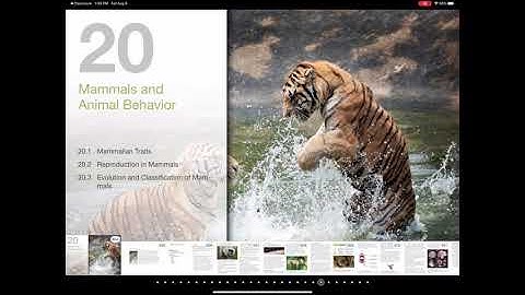 How to download CK-12 Biology iBook