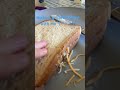 make a grilled cheese with me ⸜( •⌄• )⸝