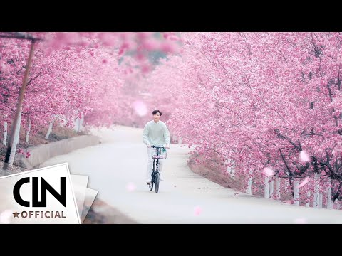 陳立農 Chen Linong《優酸乳年度廣告》浪漫春櫻路等你