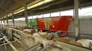 Strautmann Verti-Mix 1702 Double Sf Strautmann Uue Põlvkonna Iseliikur Söödamikser Töös