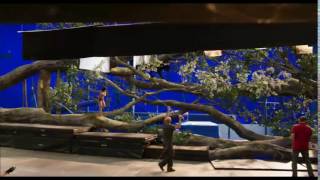 少年以外は全てCG!『ジャングル・ブック』メイキング02