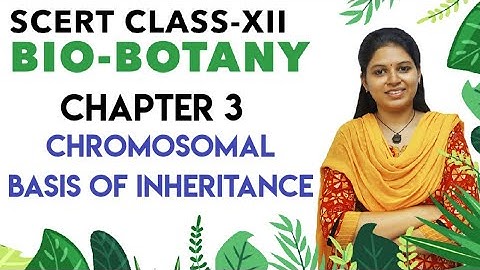SCERT  Class 12 Botany  Chapter 3 - Chromosomal Basis of Inheritance  - Tamil