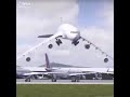 Wenn ein Flugzeug tanzt während es von einem Vogel belästigt wird.