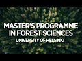 Master's programme in Forest sciences