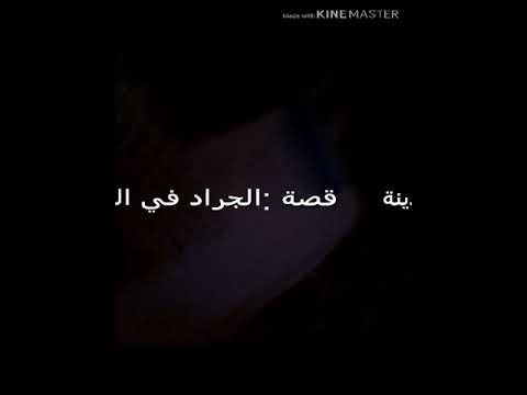 قصة الجراد في المدينة