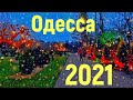 Одесса Черёмушки парк Горького новогодний 12 января 2021