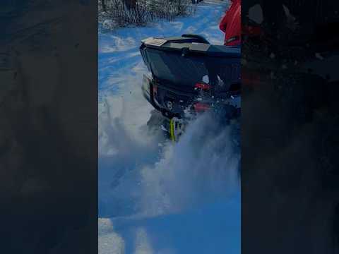 Побесились на квадроциклах #квадроцикл #активныйотдых #offroad #funnyvideos