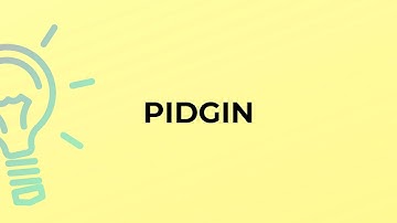 What is the meaning of the word PIDGIN?