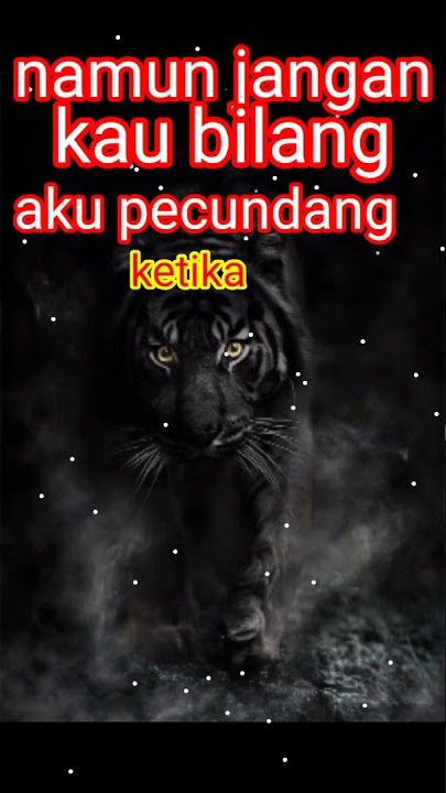 MARAHNYA SANG PENDIAM#storywa_macan putih