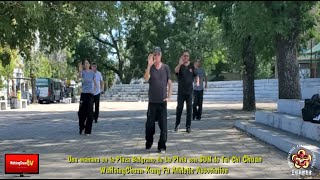 SUN Tai Chi Chuan UNA MAÑANA EN LA PLAZA BELGRANO de La Plata I by WuHsingChuanTV 54 views 1 month ago 2 minutes, 6 seconds