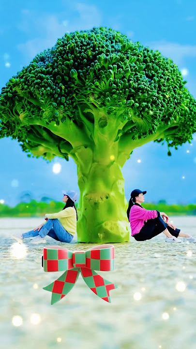 Teach you to take creative and high-end photography#photography#photo#ideas#creativephotography#fyp