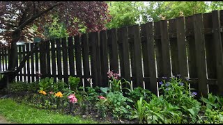 Flowers Dancing in the Rain