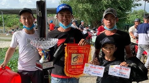 Câu Cá Tra Giải Hồ Ngọc Phát. Cám T1 Đồng Hành. Nhất ngày luôn