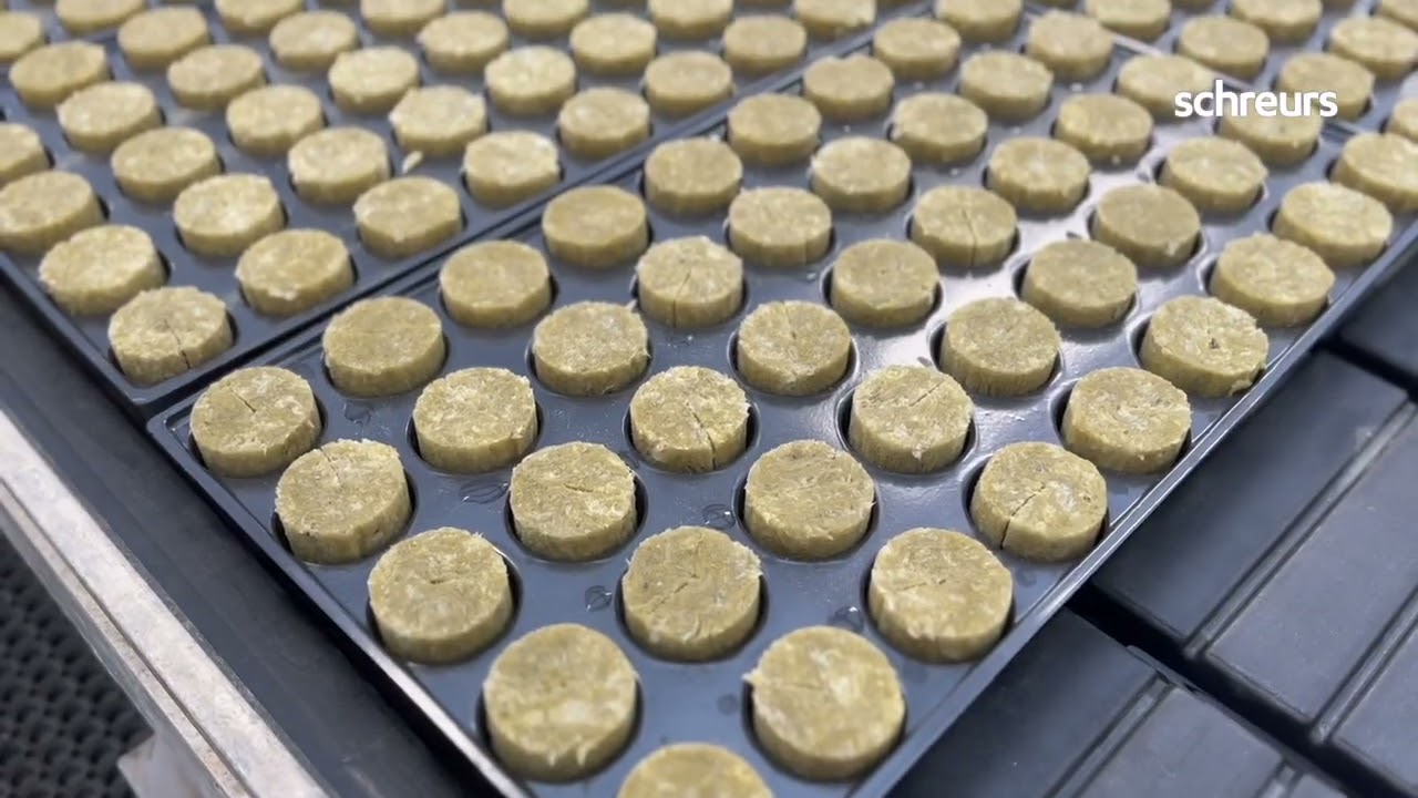 Where it all starts - Inside Schreurs