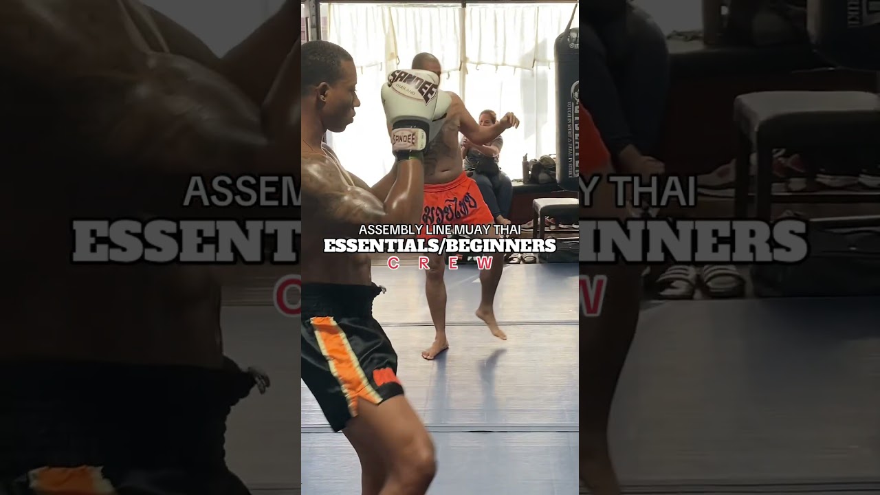 “Fresh pair of gloves, zero fear. where beginners become fighters. 🦵👊 #StartYourFight” bekijken op YouTube “Fresh pair of gloves, zero fear. where beginners become fighters. 🦵👊 #StartYourFight” bekijken op YouTube
