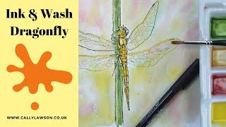 Ink and watercolour, beginners Dragonfly drawing and painting lesson
