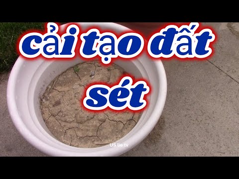 Video: Cách Làm Hạt đất Sét