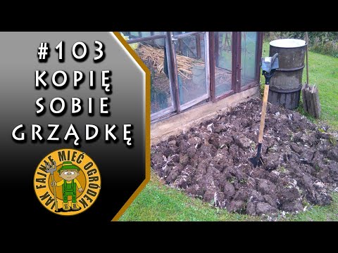 Wideo: Jak kopać w uprawie zielonego obornika?