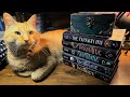 ASMR Relaxing Book Reviews and Picking a new Book | Whispering | Book Sounds 