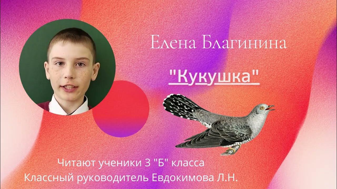 Благинина кукушка. Стихотворение кукушка благининой. Благинина кукушка. Е а благинина кукушка. Кукушка стихотворение благинина.