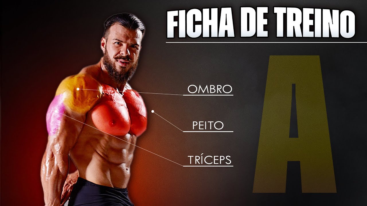 10 melhor ideia de TREINO PEITO, OMBRO, TRICEPS