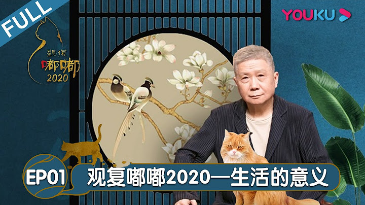 【观复嘟嘟2020】EP1 生活的意义 | 马未都的藏品新说 | 优酷纪实 YOUKU DOCUMENTARY - 天天要闻