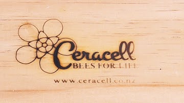 Beekeeping Basics with Bruce Clow - Branding