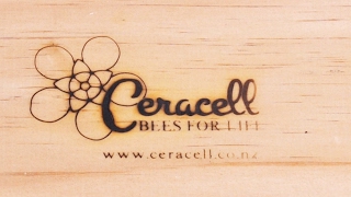 Beekeeping Basics with Bruce Clow - Branding
