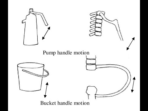 Similarities and differences between Bucket handle and Pump handle