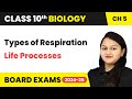 Types of Respiration - Life Processes | Class 10 Biology Chapter 5 | CBSE 2024-25