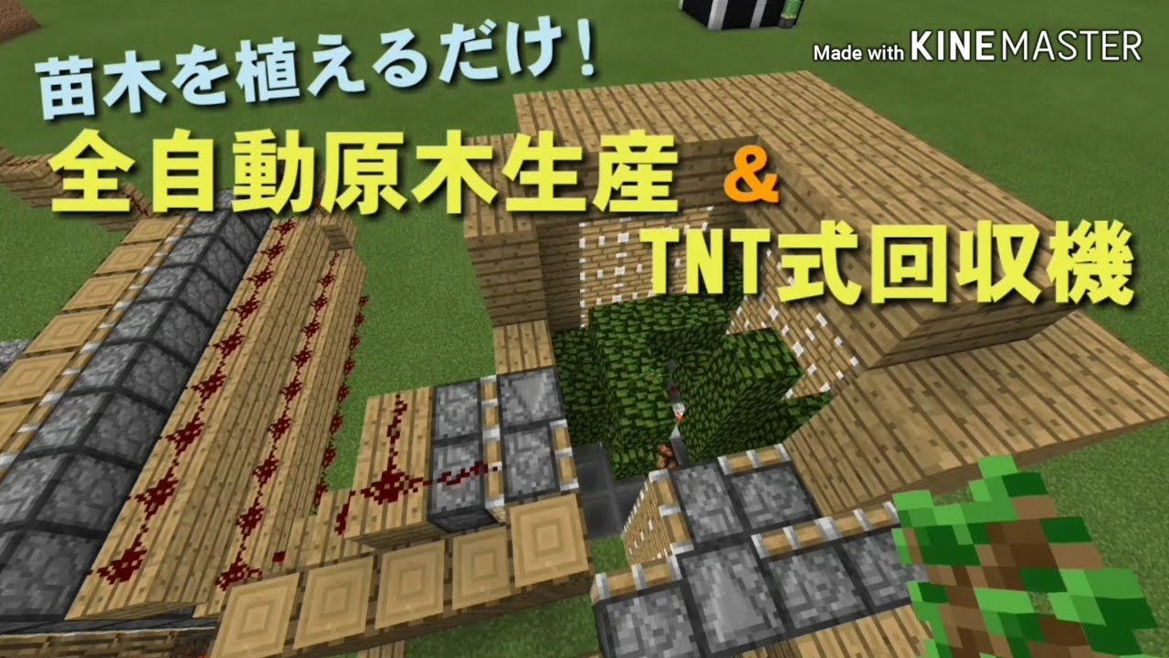 マイクラ 苗木を植えるだけ 全自動原木生産 Tnt式回収機の作り方 Youtube