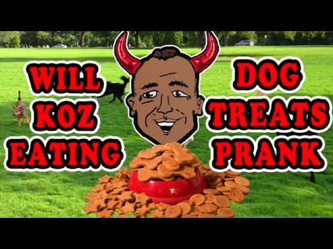 eating-dog-biscuits-prank