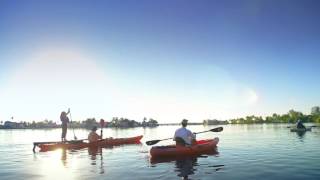 Islandology - No. 36