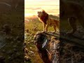 رهيب جدا لايك اشتراك 