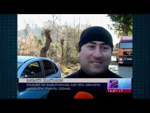 მედია-რენტგენი, აქა ამბავი გიგანტური ხის გადარგვის თაობაზედ