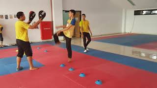 Agility Quickness Training For Taekwondo