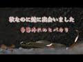 猫日記 閲覧注意・苦手な方はご注意を【季節外れにヘビに会いました・ヒバカリ】