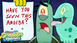 Plankton Loses His New Pet! 😢 | SpongeBob