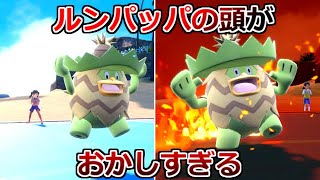 誰も使わない「ルンパッパ」の性能がヤバすぎる件。【ポケモンSV実況】