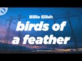 Billie Eilish - BIRDS OF A FEATHER (Clean - Lyrics)