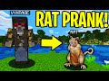 TROLLING AS A RAT IN MINECRAFT!