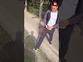 Семечки, хамство и кулаки: водитель устроил «мастер-класс» по культуре на дороге