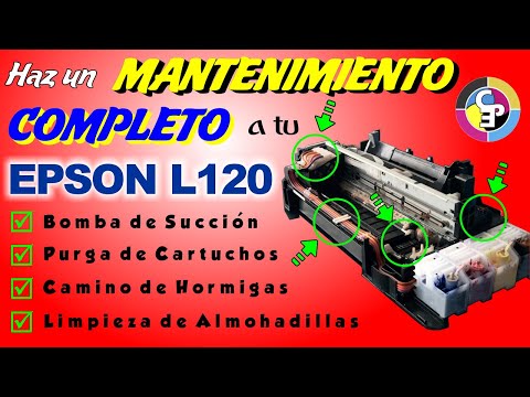 Vídeo: Com puc canviar la tinta de la meva Epson dx4400?